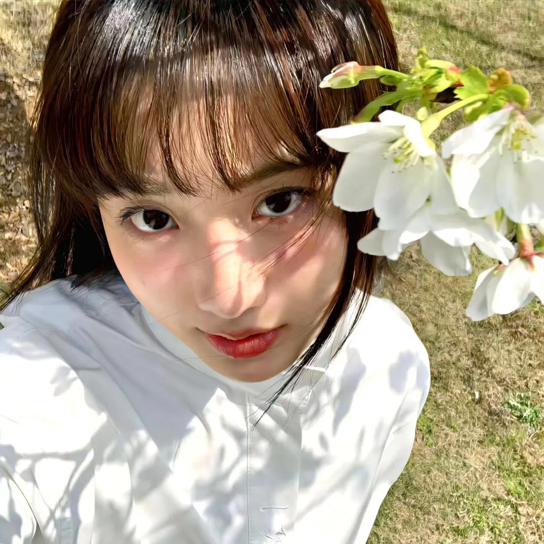 记忆女神的女儿们